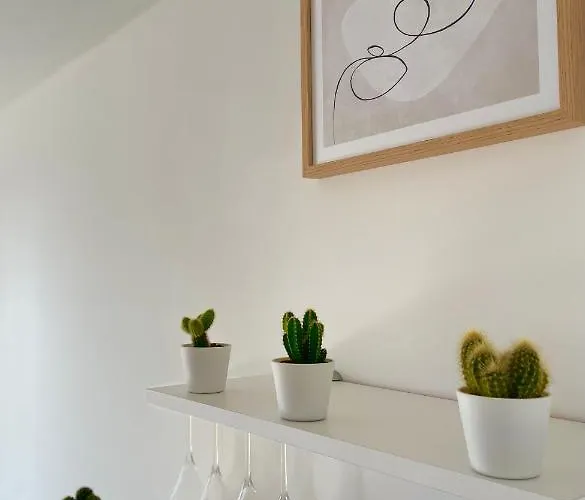 Luxueux Neuf - Frontiere - Piscine - Parking Prive アパート *